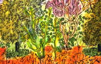 garden beyond a parapet