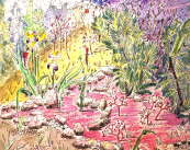 Garden at Mas Lubin, with irises